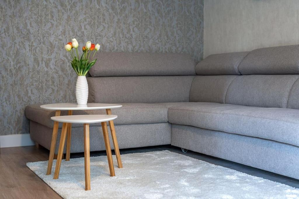 Apartman Nobilis ヘーヴィーズ エクステリア 写真